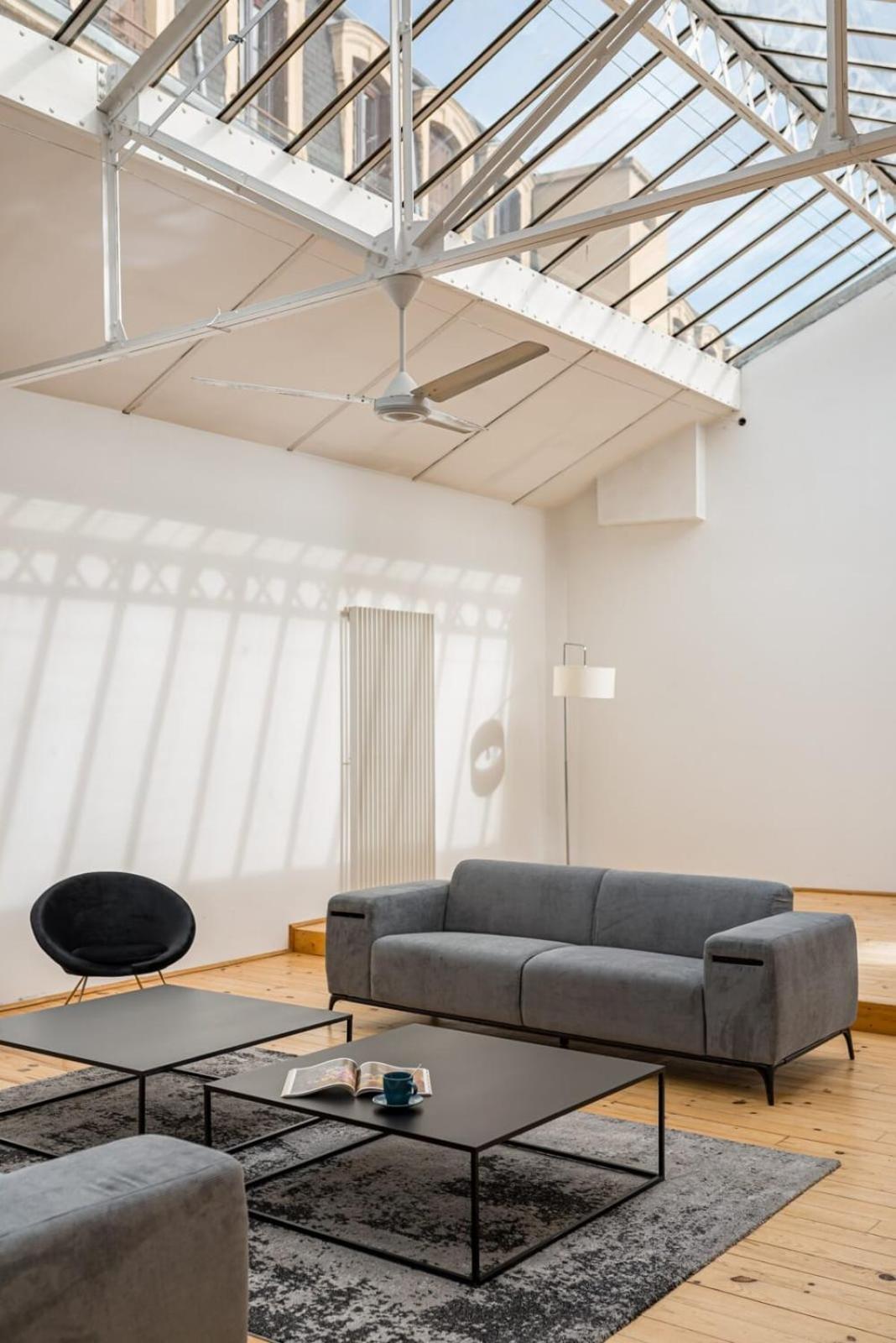 Zeus Loft 400M² 6Rms 6Br Hypercentre Leilighet Saint-Etienne  Eksteriør bilde